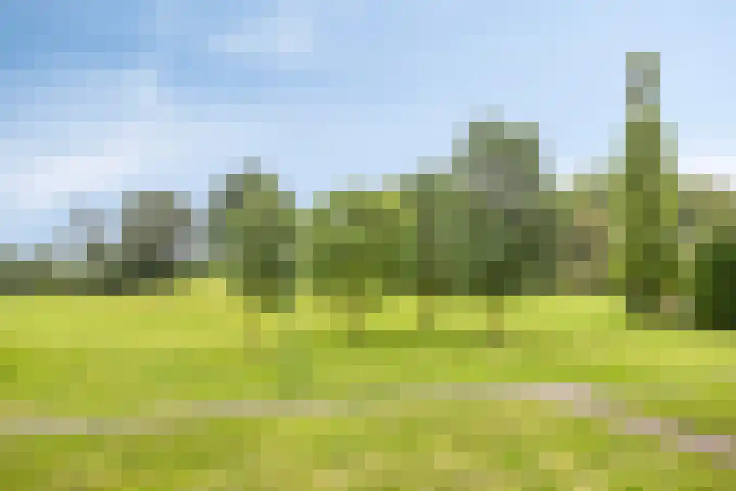 Burgemeester Raijmakerslaan 21 Grave thumbnail 45