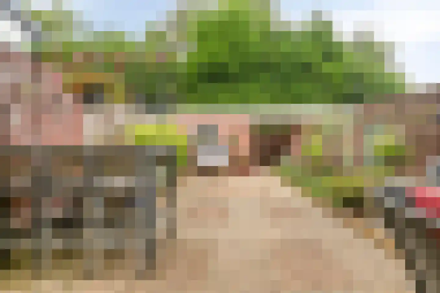Burgemeester Raijmakerslaan 23 Grave thumbnail 33