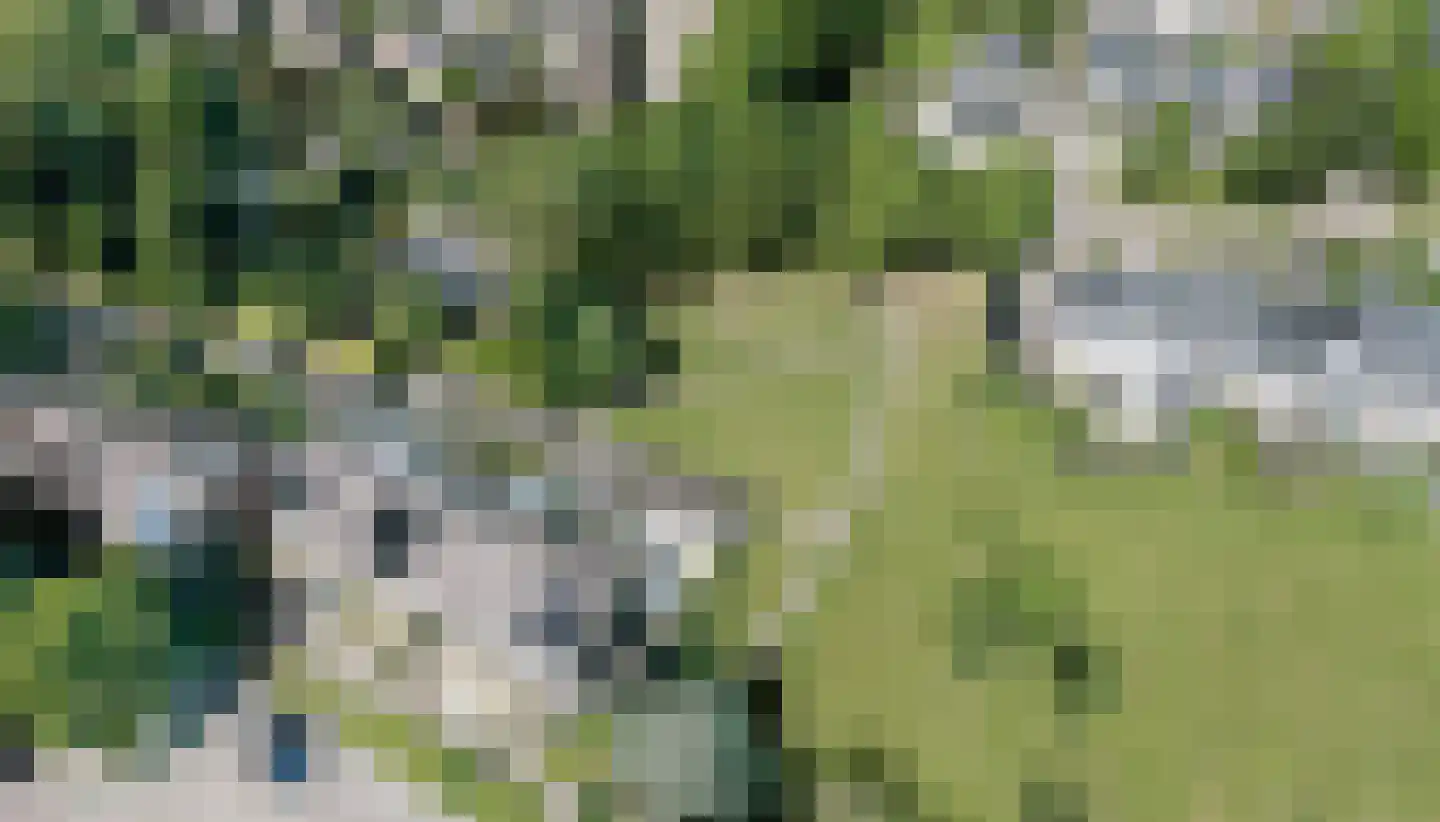 Burgemeester Raijmakerslaan 23 Grave thumbnail 39