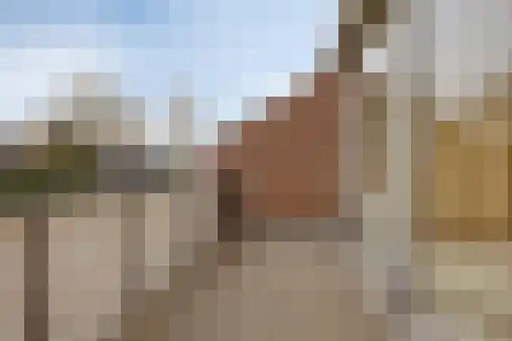 Burgemeester Raijmakerslaan 44 Grave thumbnail 17