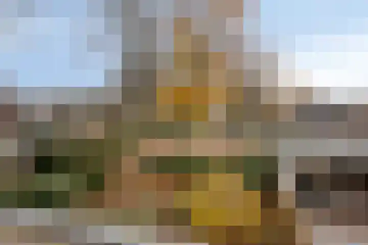 Burgemeester Raijmakerslaan 44 Grave thumbnail 18