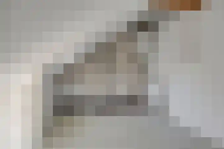Burgemeester Raijmakerslaan 44 Grave thumbnail 19