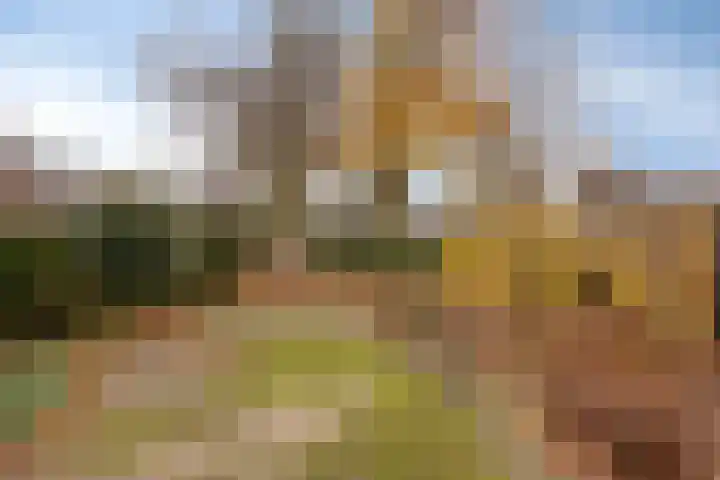 Burgemeester Raijmakerslaan 44 Grave thumbnail 23