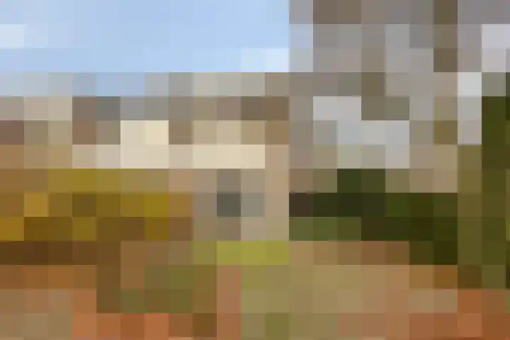 Burgemeester Raijmakerslaan 44 Grave thumbnail 24