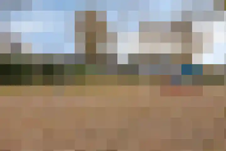 Burgemeester Raijmakerslaan 44 Grave thumbnail 30