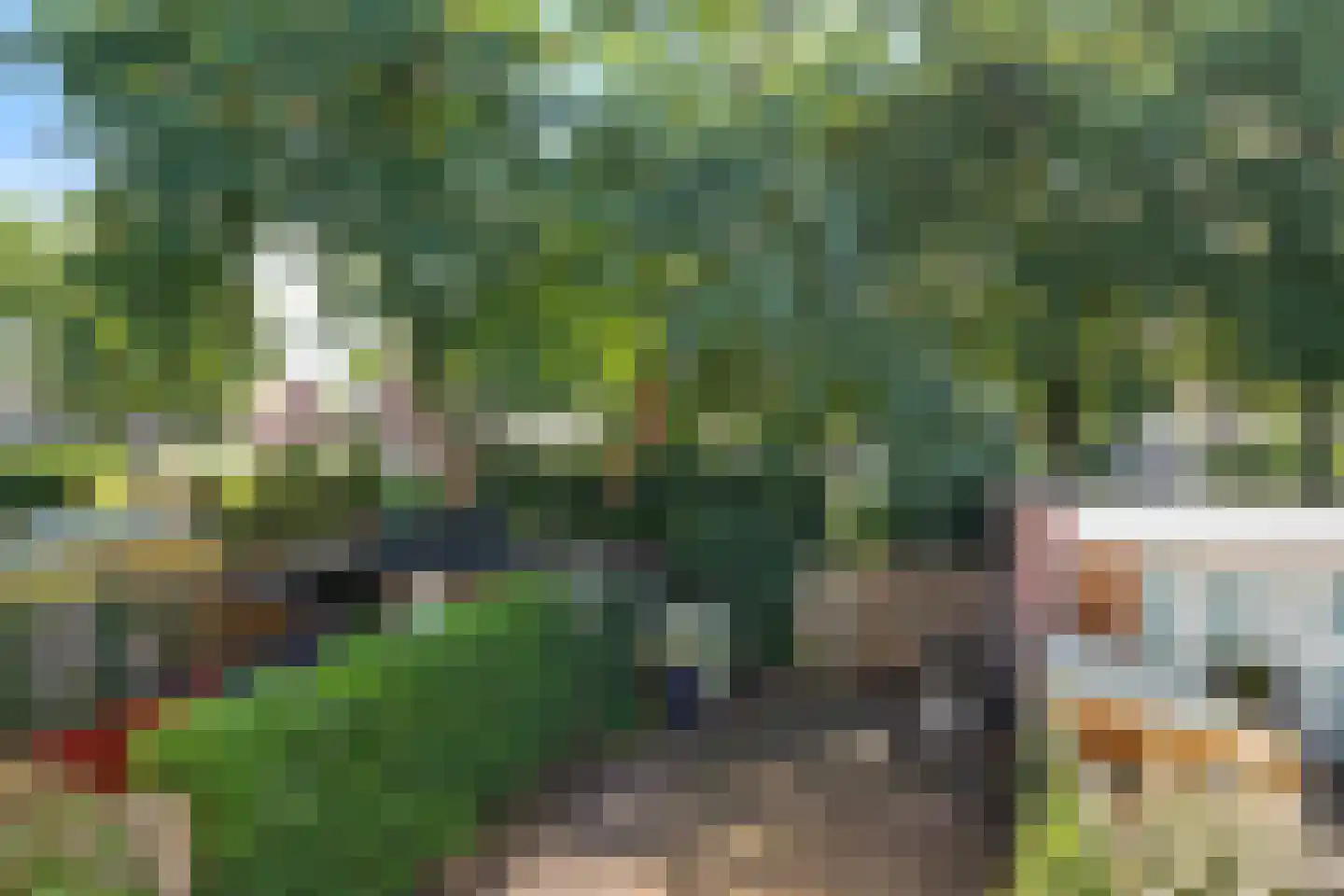 Burgemeester Raijmakerslaan 60 Grave thumbnail 33