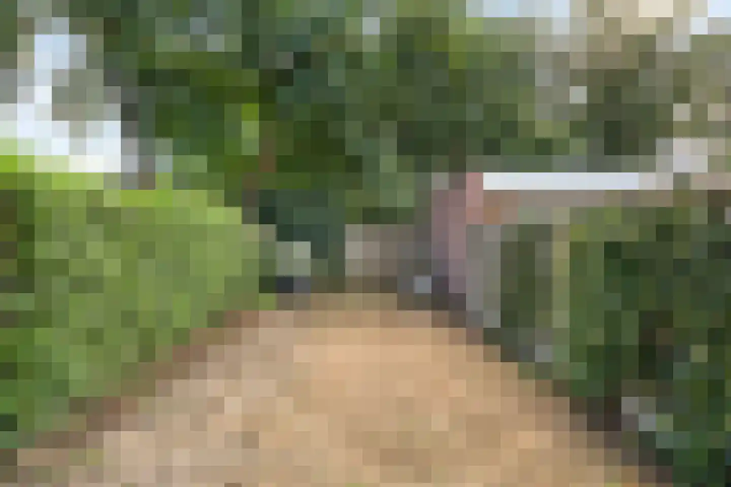 Burgemeester Raijmakerslaan 60 Grave thumbnail 35