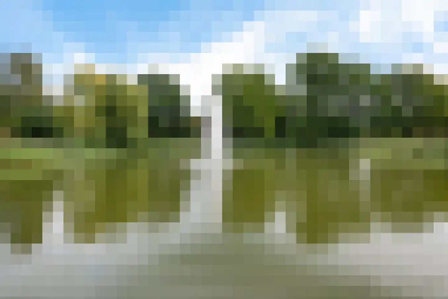 Burgemeester Raijmakerslaan 60 Grave thumbnail 37