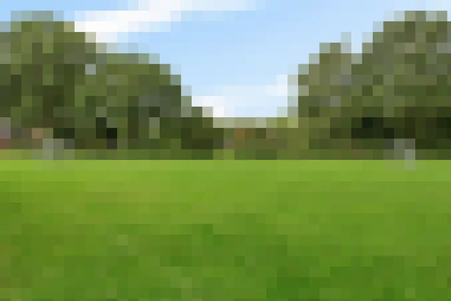 Burgemeester Raijmakerslaan 60 Grave thumbnail 38