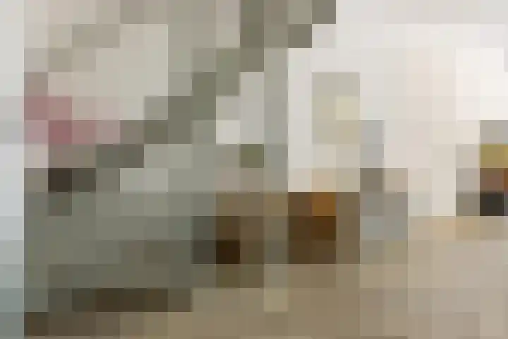 Burgemeester Raijmakerslaan 66 Grave thumbnail 10