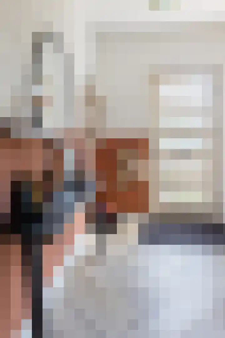 Burgemeester Raijmakerslaan 66 Grave thumbnail 12