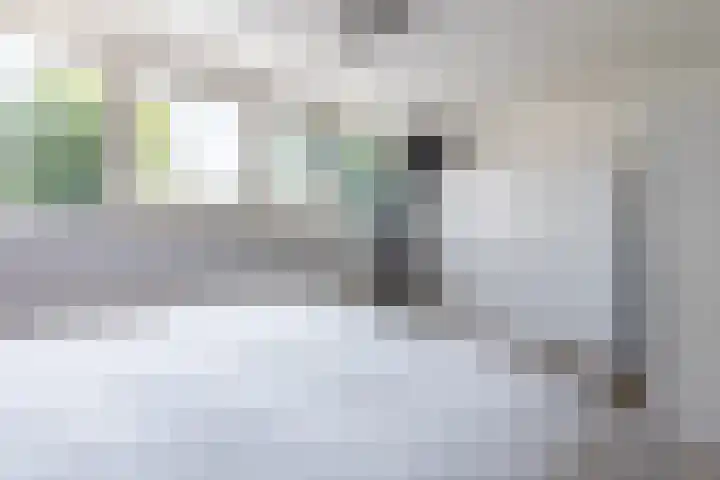 Burgemeester Raijmakerslaan 66 Grave thumbnail 15