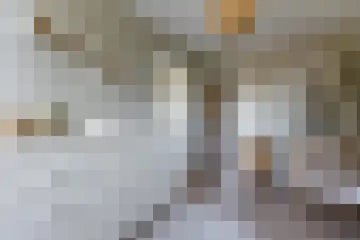 Burgemeester Raijmakerslaan 66 Grave thumbnail 16