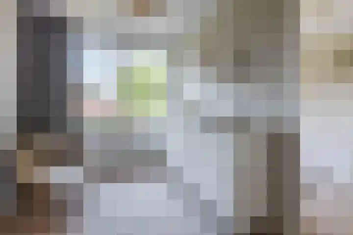 Burgemeester Raijmakerslaan 66 Grave thumbnail 18