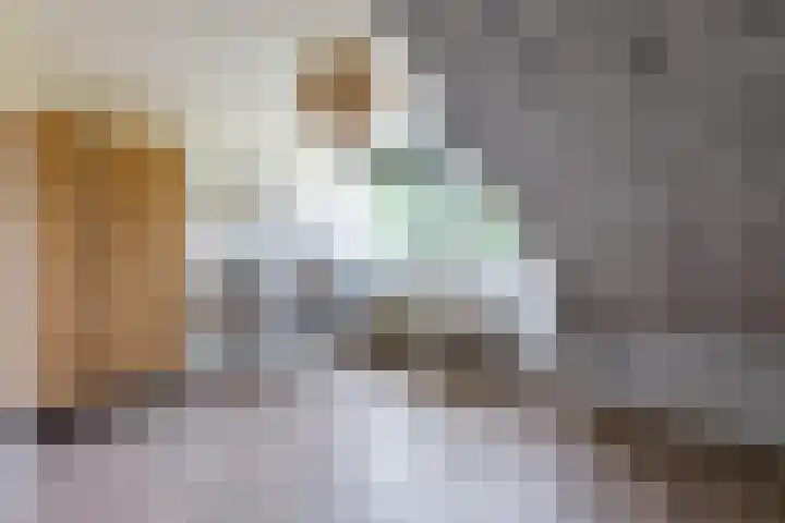 Burgemeester Raijmakerslaan 66 Grave thumbnail 31
