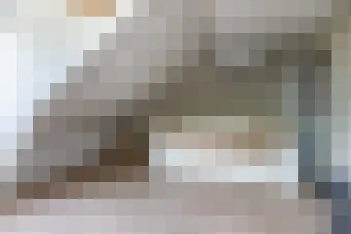 Burgemeester Raijmakerslaan 66 Grave thumbnail 32