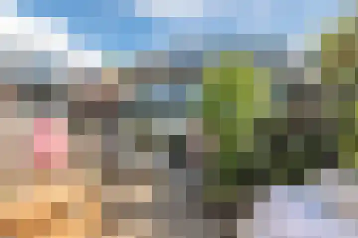 Burgemeester Raijmakerslaan 66 Grave thumbnail 34