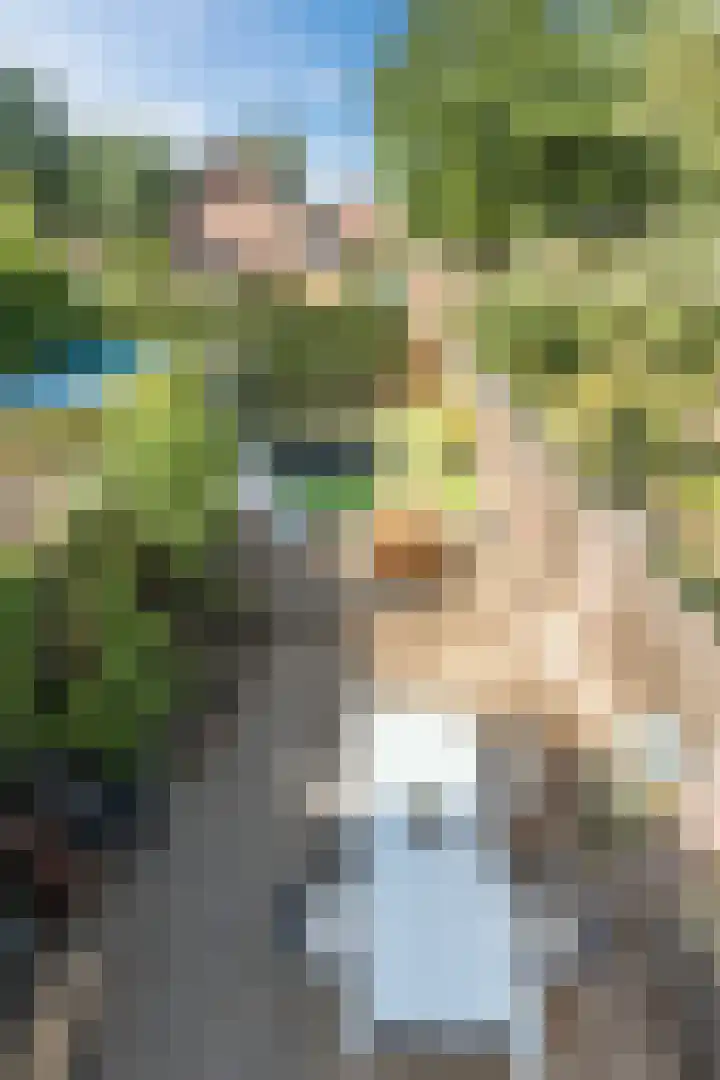 Burgemeester Raijmakerslaan 66 Grave thumbnail 35