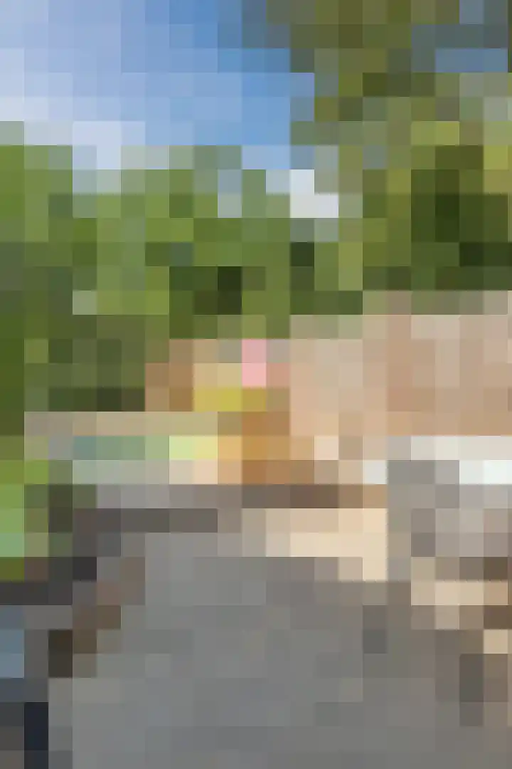 Burgemeester Raijmakerslaan 66 Grave thumbnail 36