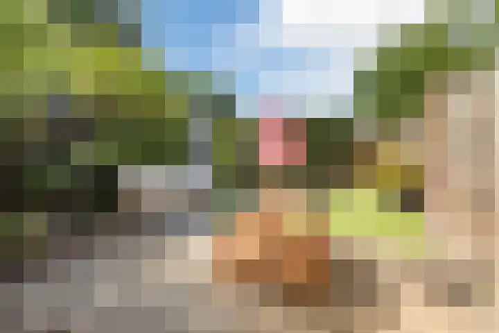 Burgemeester Raijmakerslaan 66 Grave thumbnail 37