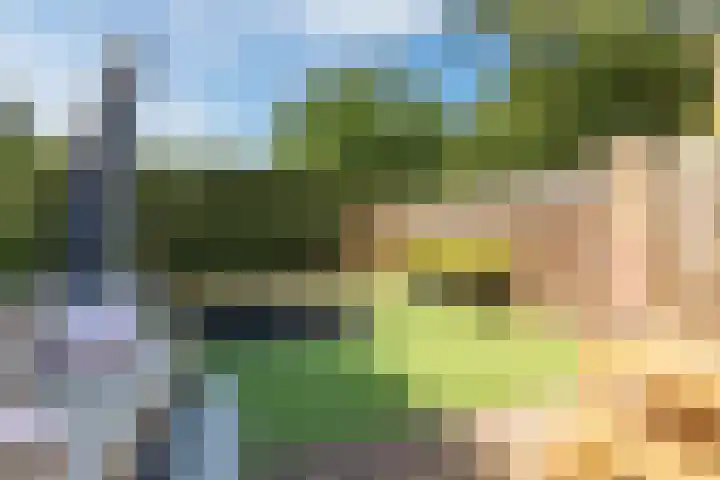 Burgemeester Raijmakerslaan 66 Grave thumbnail 39