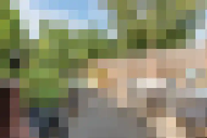 Burgemeester Raijmakerslaan 66 Grave thumbnail 4