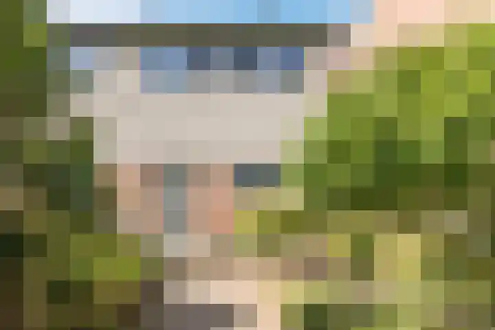 Burgemeester Raijmakerslaan 66 Grave thumbnail 41
