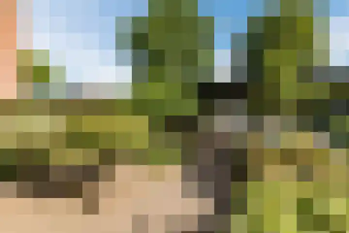 Burgemeester Raijmakerslaan 66 Grave thumbnail 42