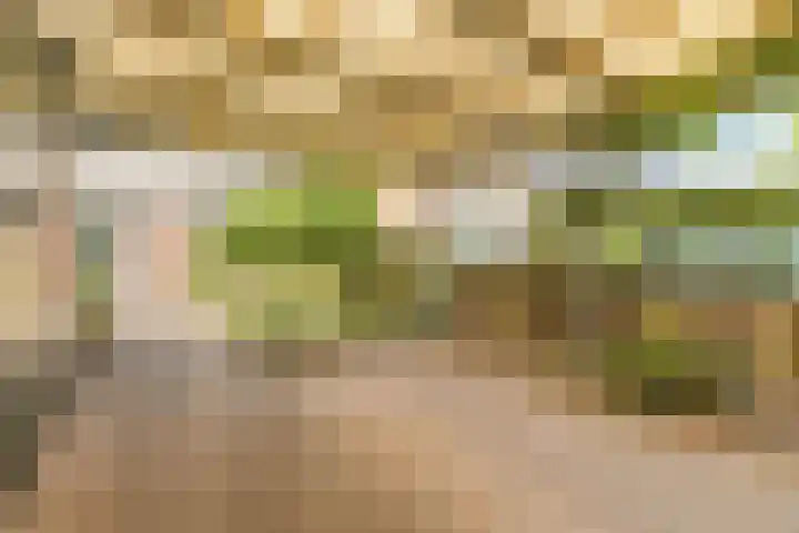 Burgemeester Raijmakerslaan 66 Grave thumbnail 44