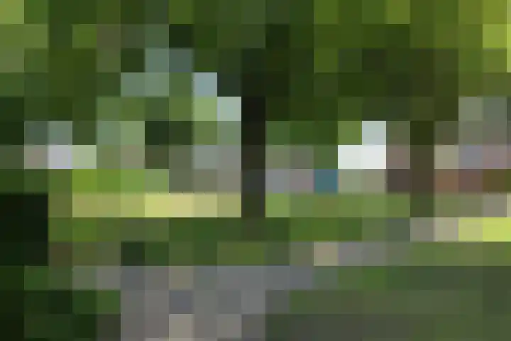 Burgemeester Raijmakerslaan 66 Grave thumbnail 45