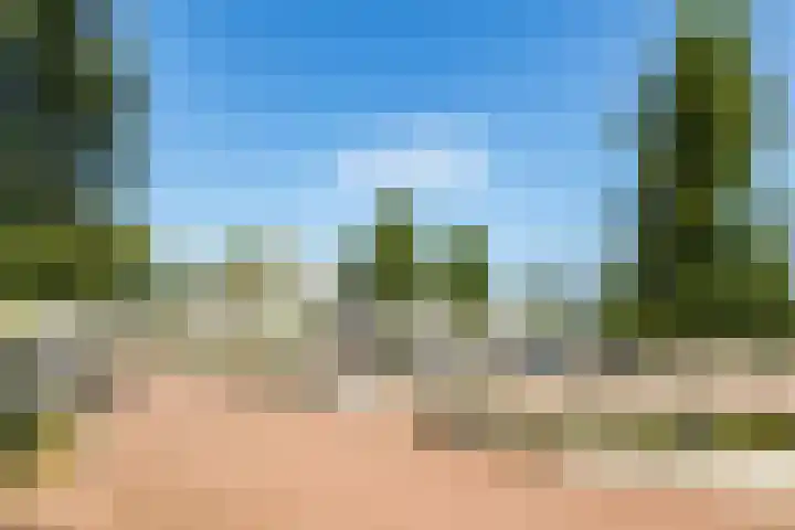 Burgemeester Raijmakerslaan 66 Grave thumbnail 46