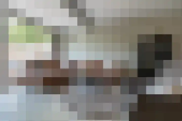 Burgemeester Raijmakerslaan 66 Grave thumbnail 5
