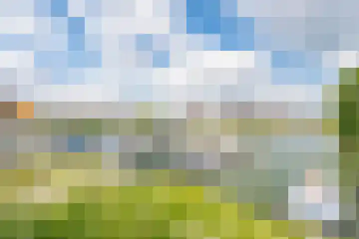 Burgemeester Raijmakerslaan 66 Grave thumbnail 50