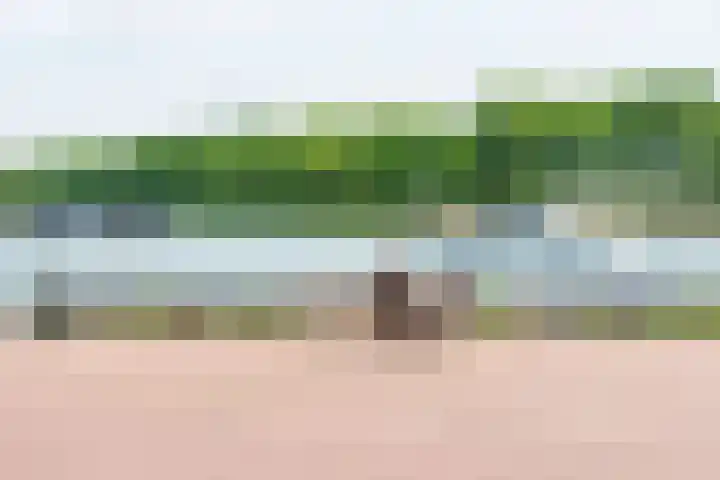 Burgemeester Raijmakerslaan 66 Grave thumbnail 52