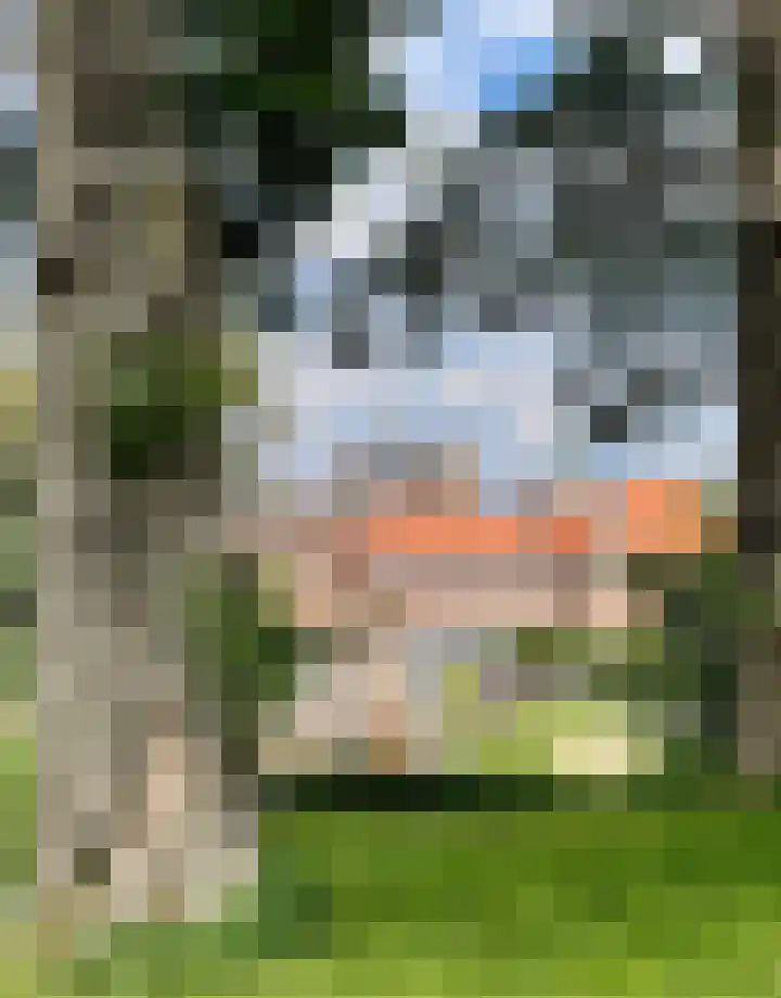 Burgemeester Raijmakerslaan 66 Grave thumbnail 54