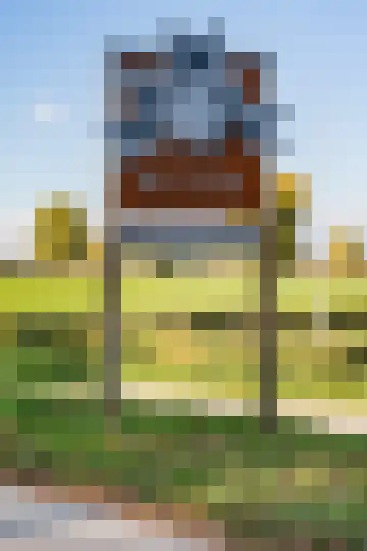 Burgemeester Raijmakerslaan 66 Grave thumbnail 55