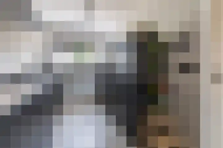 Burgemeester Raijmakerslaan 66 Grave thumbnail 8