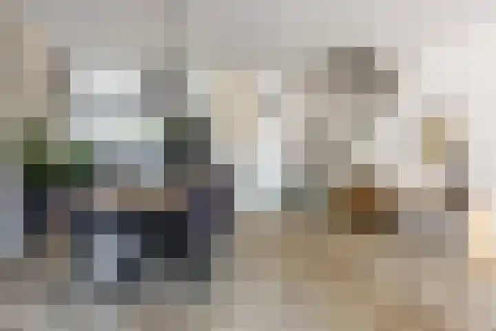 Burgemeester Raijmakerslaan 66 Grave thumbnail 9