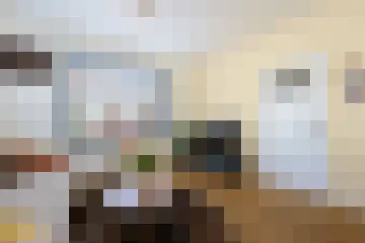 Burgemeester Rambonnetlaan 38 IJmuiden thumbnail 5