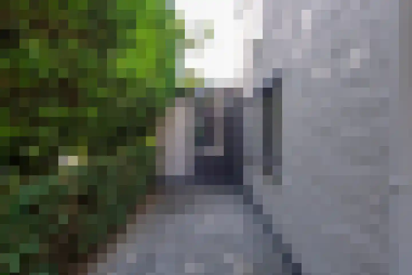 Burgemeester Rauppstraat 4 Tilburg thumbnail 44