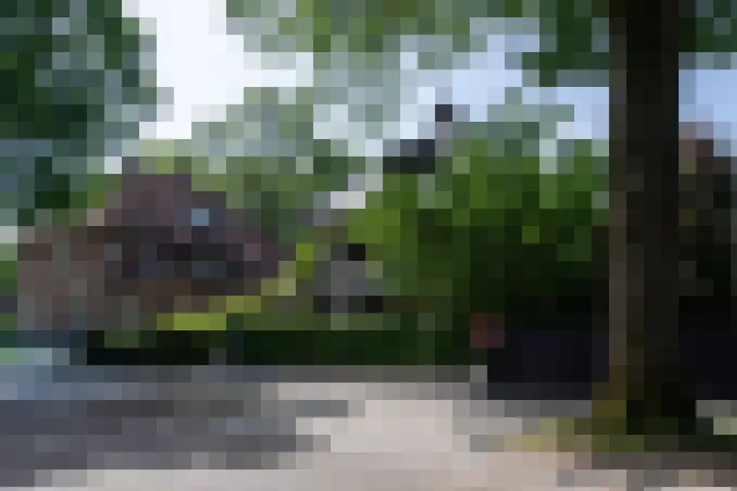 Burgemeester Rauppstraat 4 Tilburg thumbnail 6