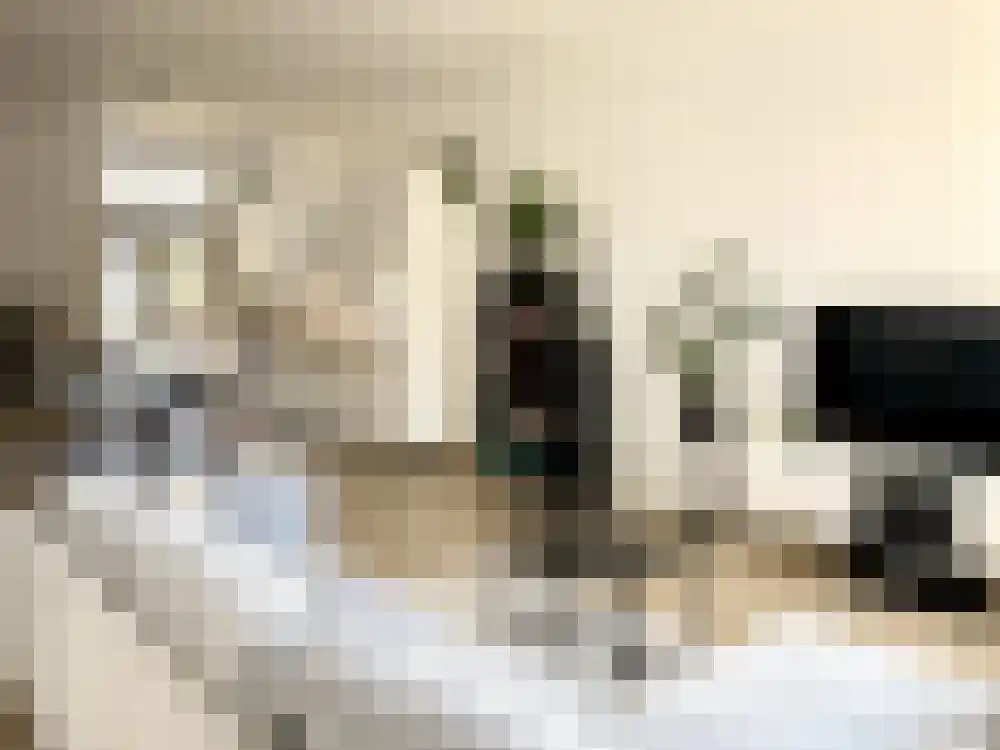 Burgemeester Reigerstraat 34 A Utrecht thumbnail 10