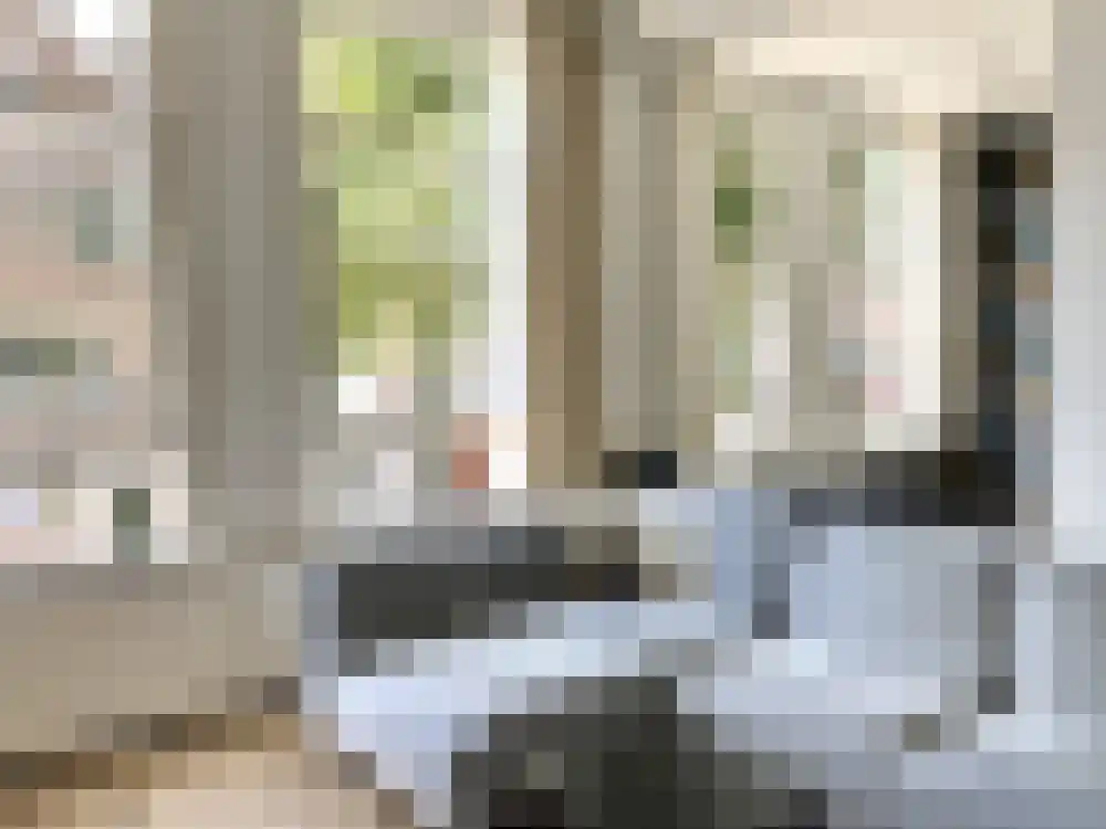 Burgemeester Reigerstraat 34 A Utrecht thumbnail 11