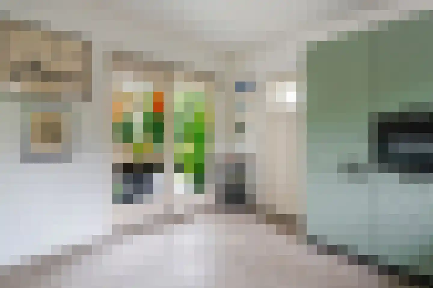 Burgemeester Rensstraat 2 Goirle thumbnail 16