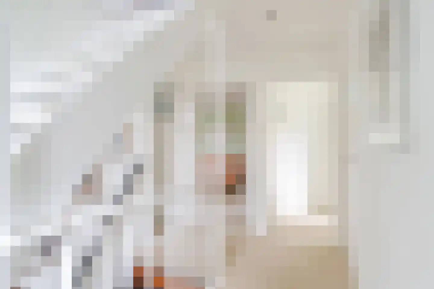 Burgemeester Rensstraat 2 Goirle thumbnail 26