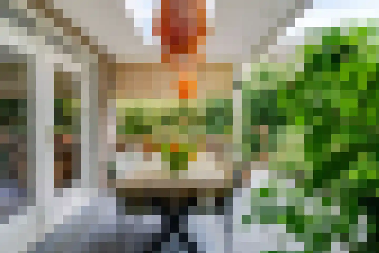 Burgemeester Rensstraat 2 Goirle thumbnail 44