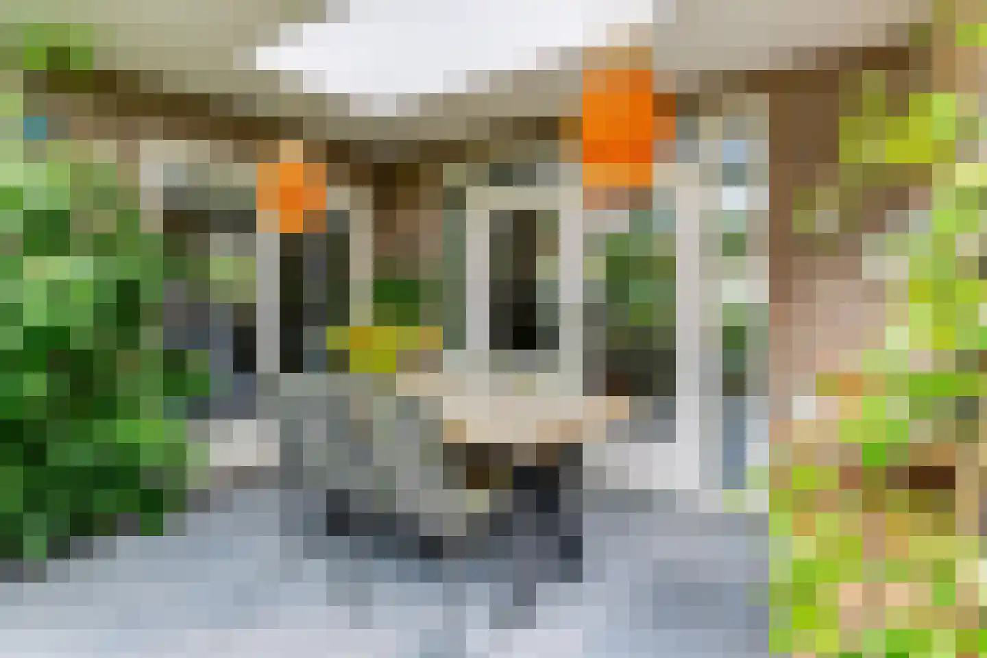Burgemeester Rensstraat 2 Goirle thumbnail 46