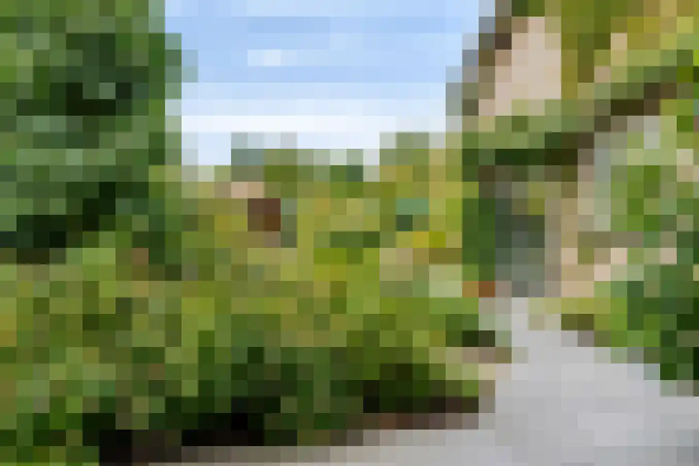 Burgemeester Rensstraat 2 Goirle thumbnail 48