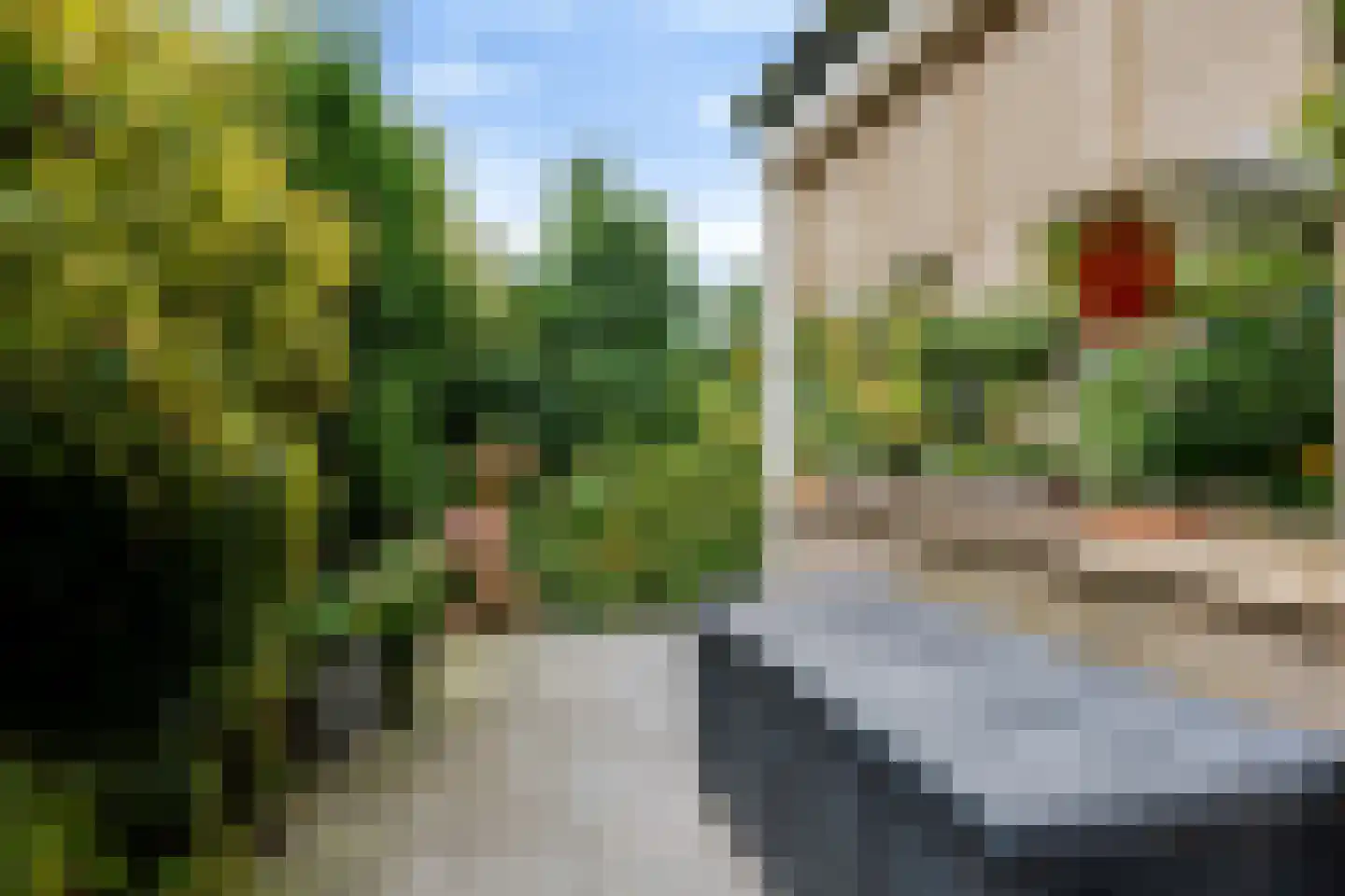 Burgemeester Rensstraat 2 Goirle thumbnail 49