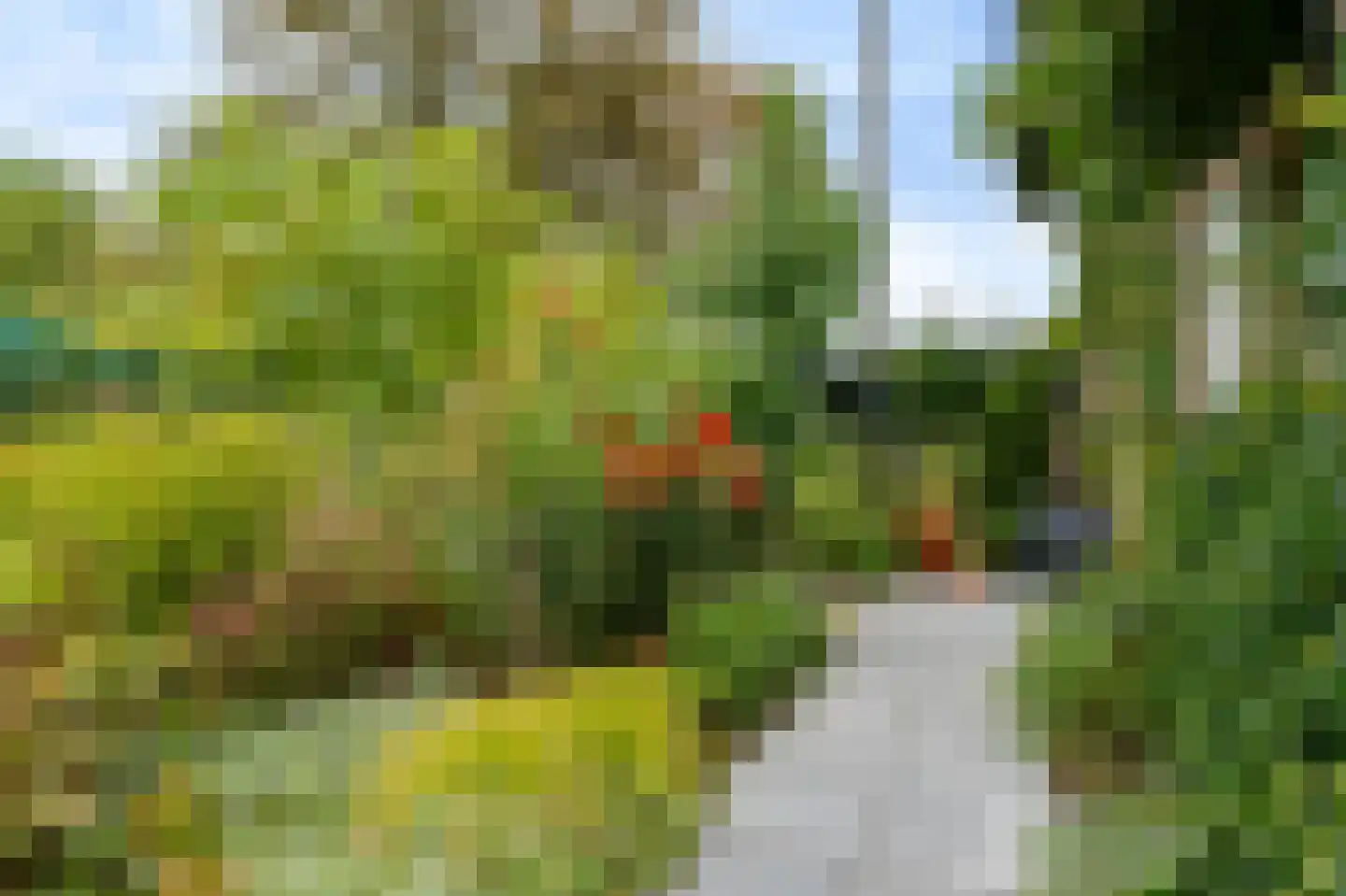 Burgemeester Rensstraat 2 Goirle thumbnail 53